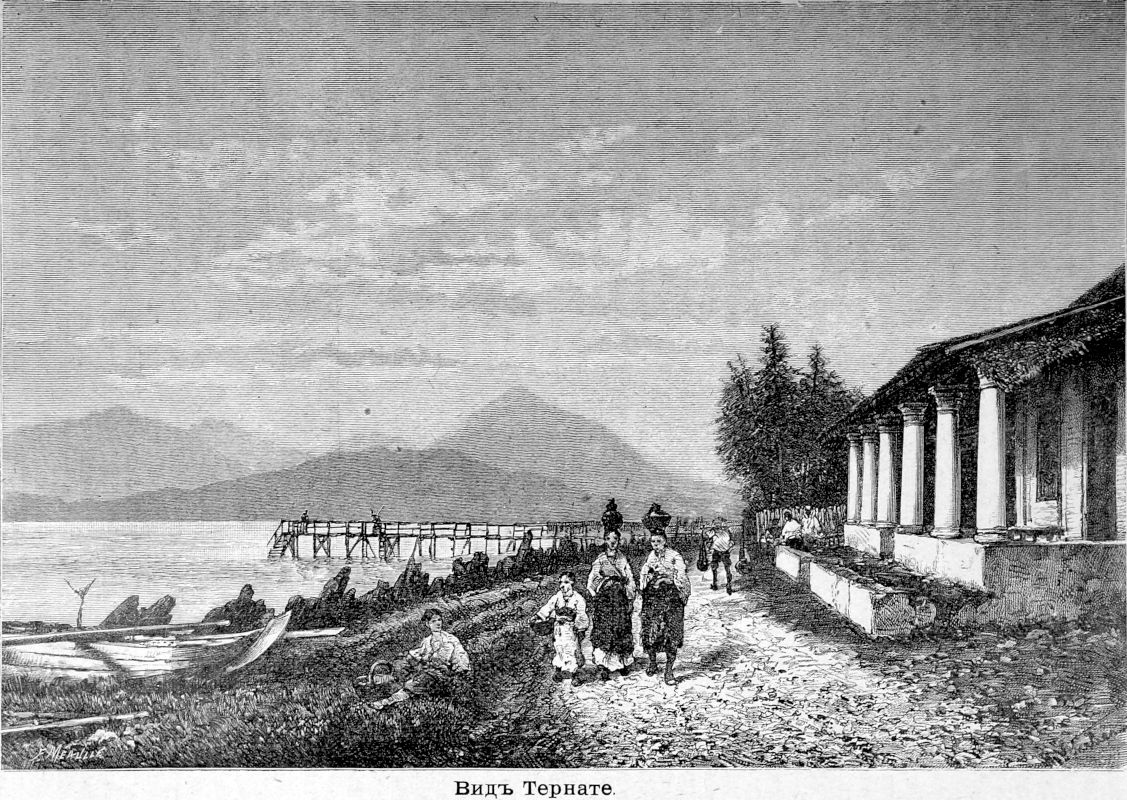 333 Вид Тернате